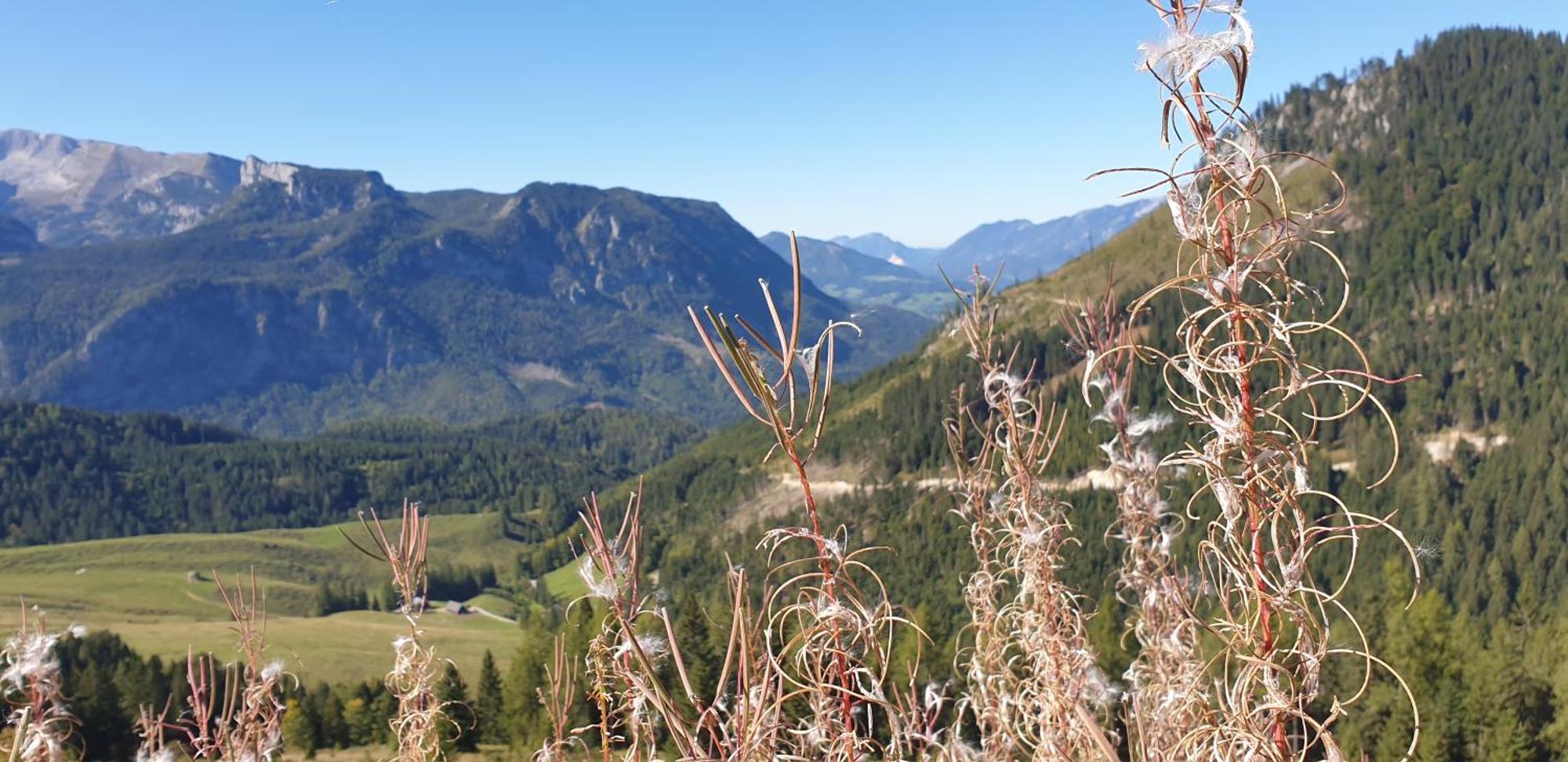 Ferienhaus Mountain View Spital Am Pyhrn Exterior foto
